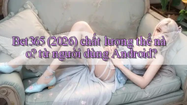 Bet365 (2026) chất lượng thế nào từ người dùng Android