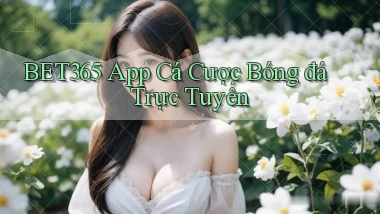 bet365 app cá cược bóng đá trực tuyến