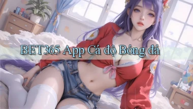 bet365 app cá độ bóng đá