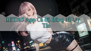 bet365 app cá độ bóng đá uy tín