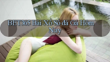 bet365  bài xổ số đá gà hôm nay