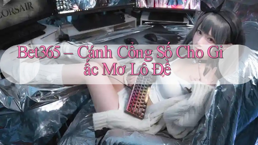 Bet365 – Cánh Cổng Số Cho Giấc Mơ Lô Đề