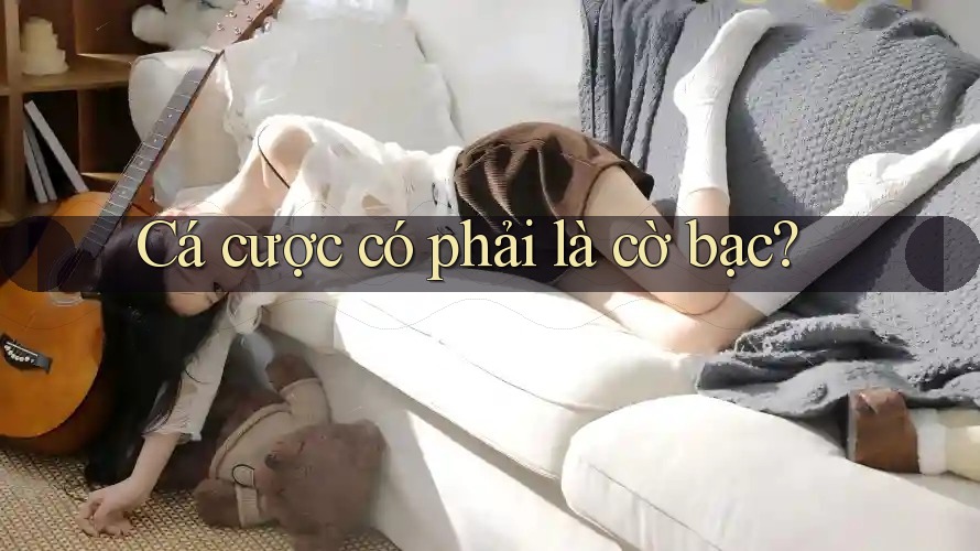 Cá cược có phải là cờ bạc? Cá cược có phải là cờ bạc?
