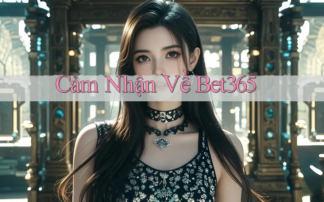 Cảm Nhận Về Bet365 Cảm Nhận Về Bet365