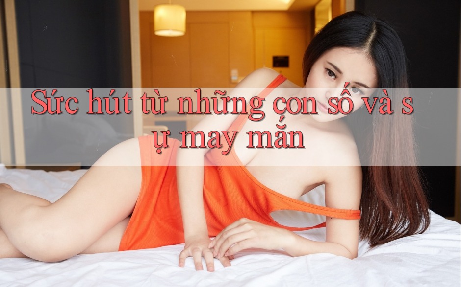 Sức hút từ những con số và sự may mắn