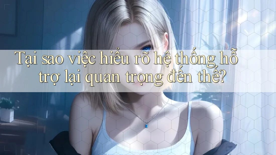 Tại sao việc hiểu rõ hệ thống hỗ trợ lại quan trọng đến thế? Tại sao việc hiểu rõ hệ thống hỗ trợ lại quan trọng đến thế?