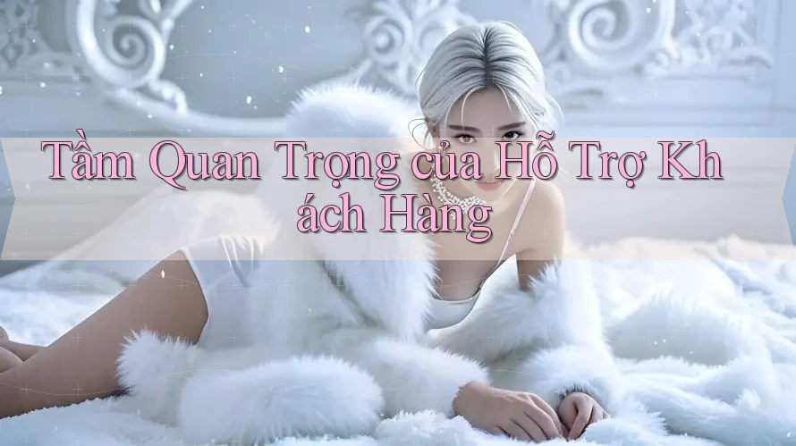 Tầm Quan Trọng của Hỗ Trợ Khách Hàng